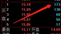 露笑科技股票