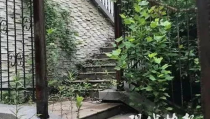 南京碎尸案的真相,惊心动魄的真相揭露